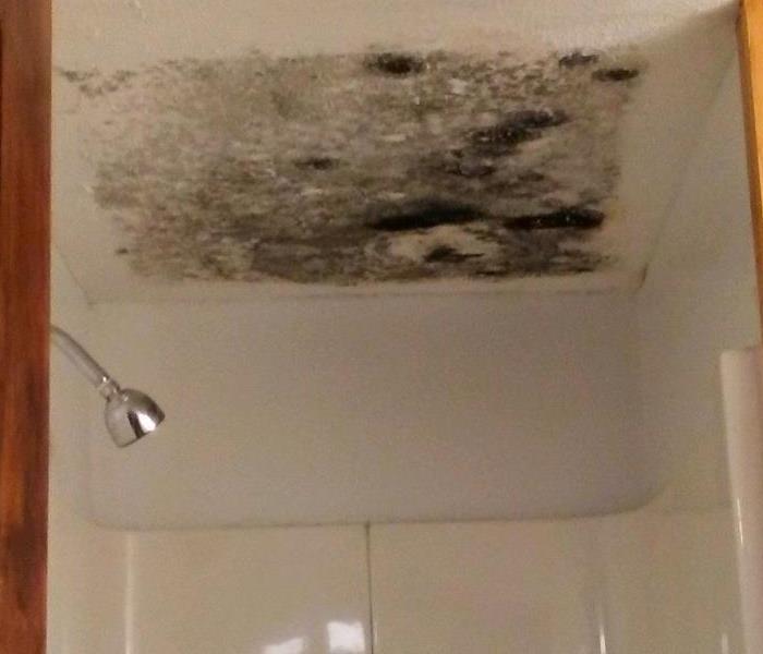 Mold is visible on the ceiling of a walk in shower from a leak in the crawl space above